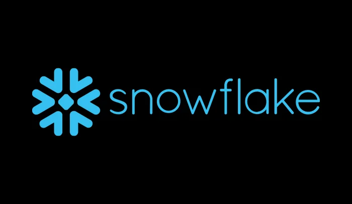 Exchange Solutionsâ„¢ Partners with Snowflake to Optimize Loyalty Program Performance - Press Release thumbnail